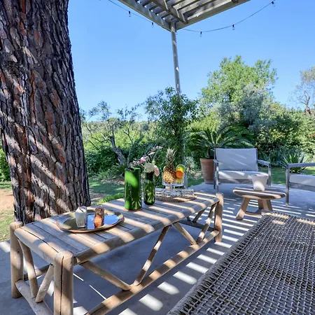 Luxury Albizziane Pool, Pool House And Exceptional Garden 10 People *