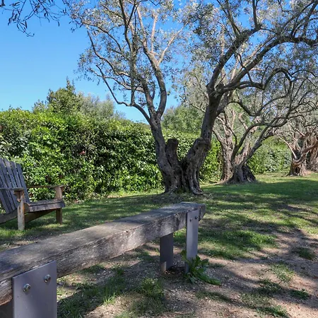 Villa Luxury Albizziane Pool, Pool House And Exceptional Garden 10 People Cassis
